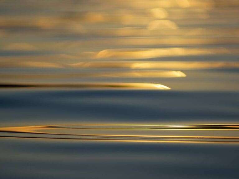 Bad Segeberg: Fotoausstellung “Colours of nature” des Fotografen Gunnar Asmus