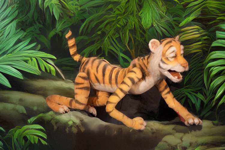 Tigerwild