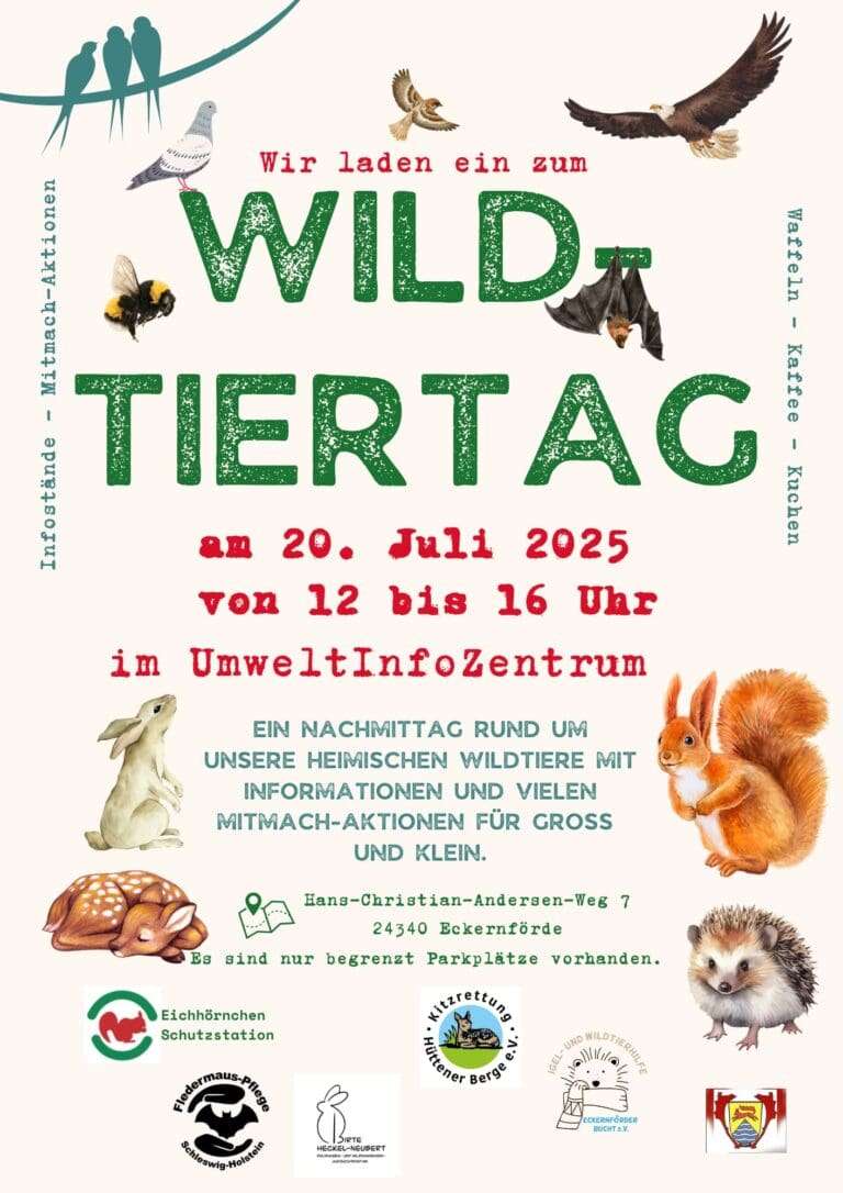 Eckernförde: Wildtiertag