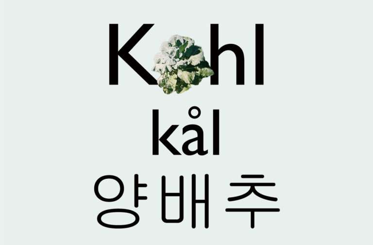 Kohl / kål / 양배추