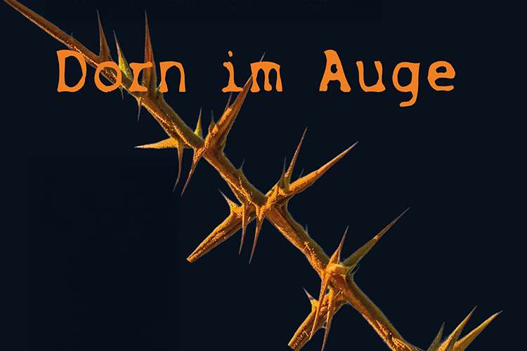 Dorn im Auge