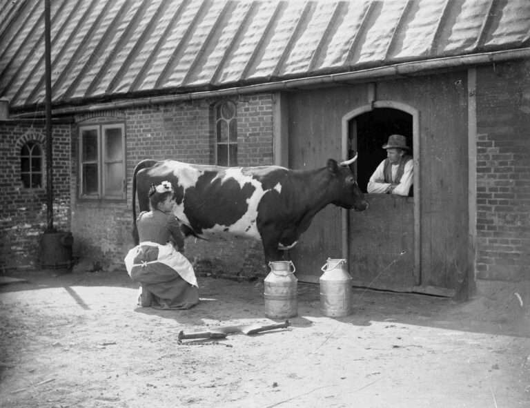 Aktionstag „Milch“