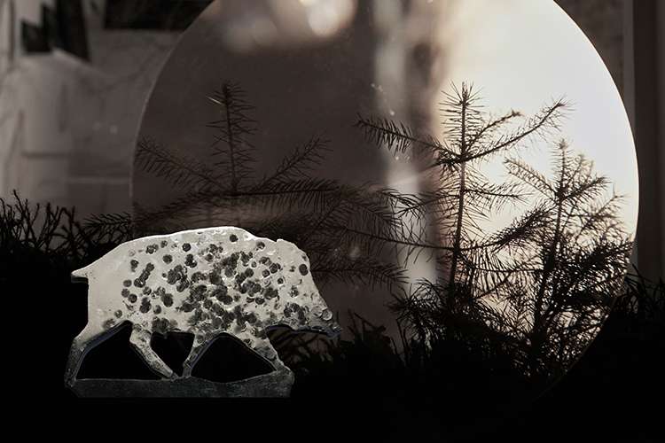 Anne Dingkuhn: Quiet hunt