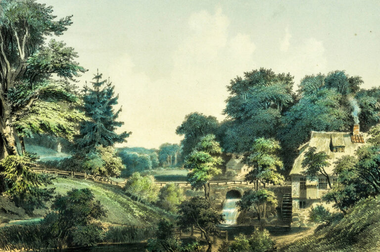Friedrichsruh: Der Sachsenwald – und natürlich Bismarck