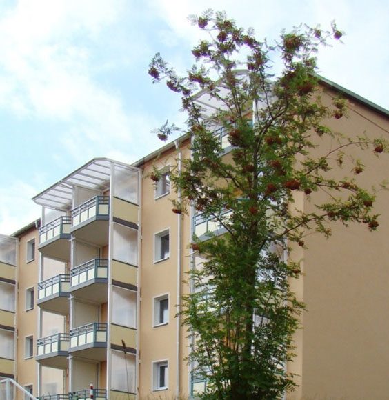 Schwarzenberg eG