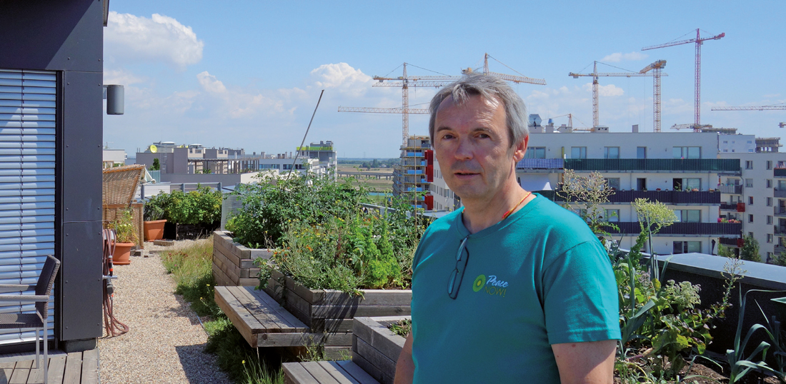 Erste Adresse: Seestadt