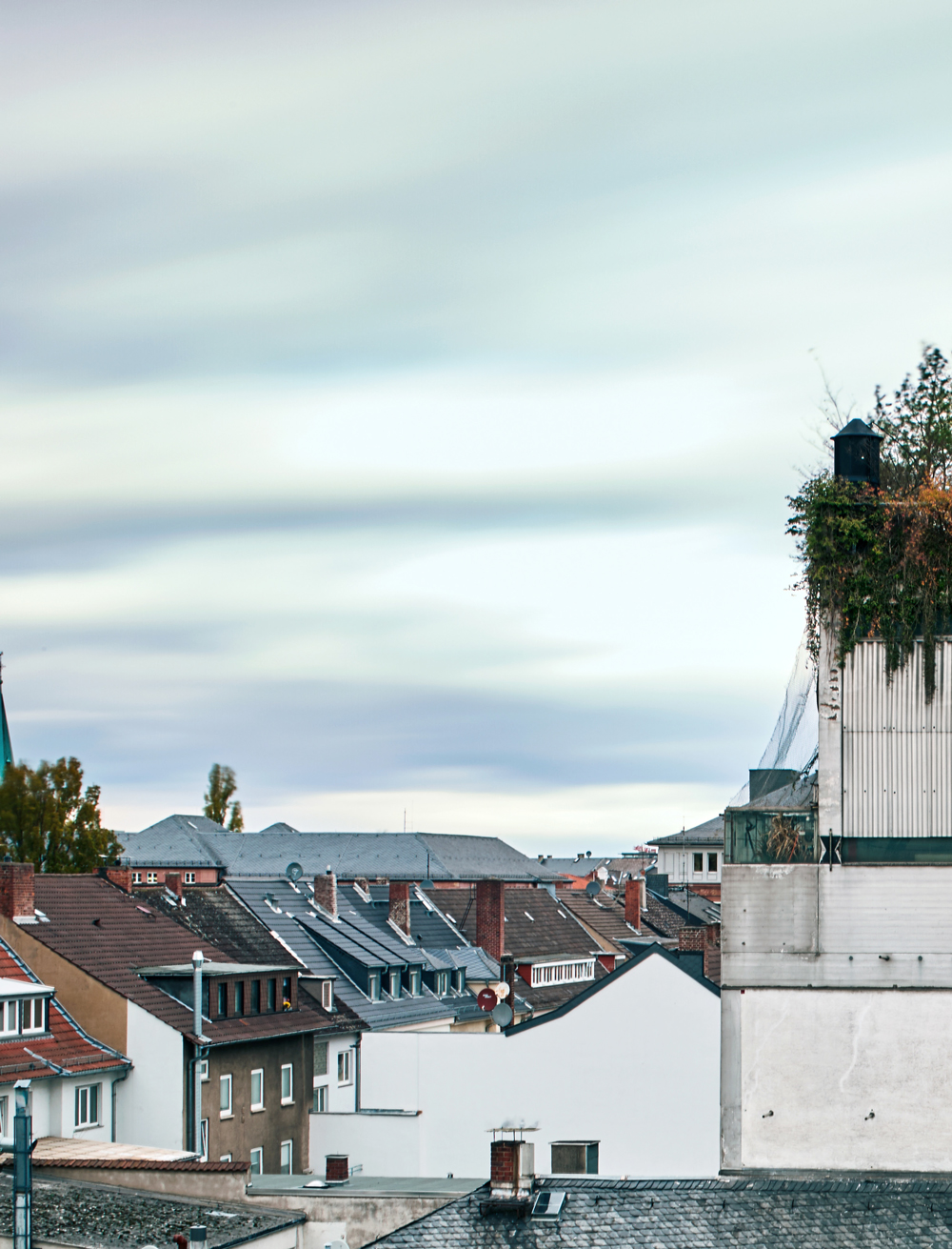 Der Pionier des Wucherns: Baumhaus in Darmstadt