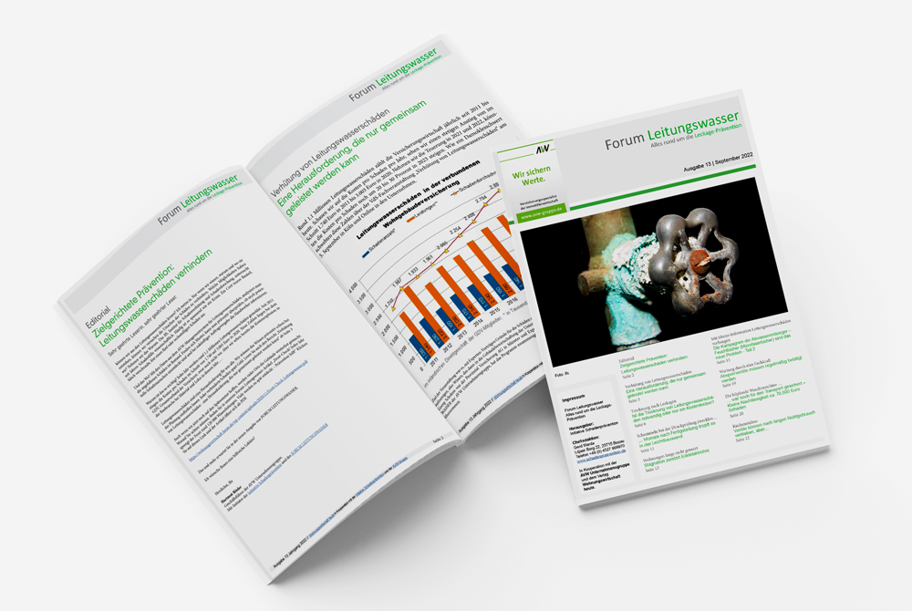 Forum Leitungswasser Ausgabe 13 als PDF herunterladen und lesen