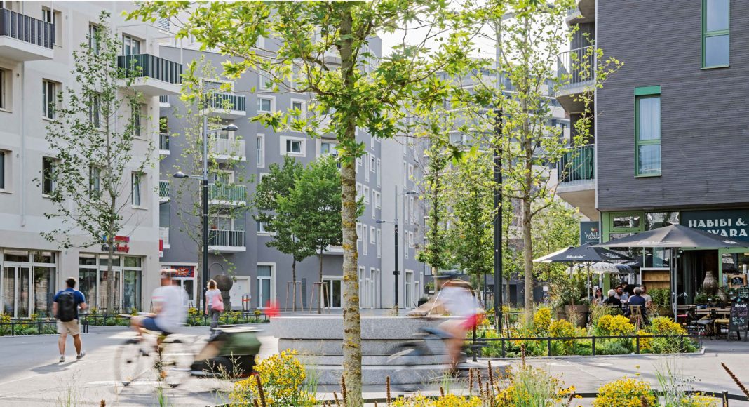 Seestadt Aspern - intensive Nachbegrünung