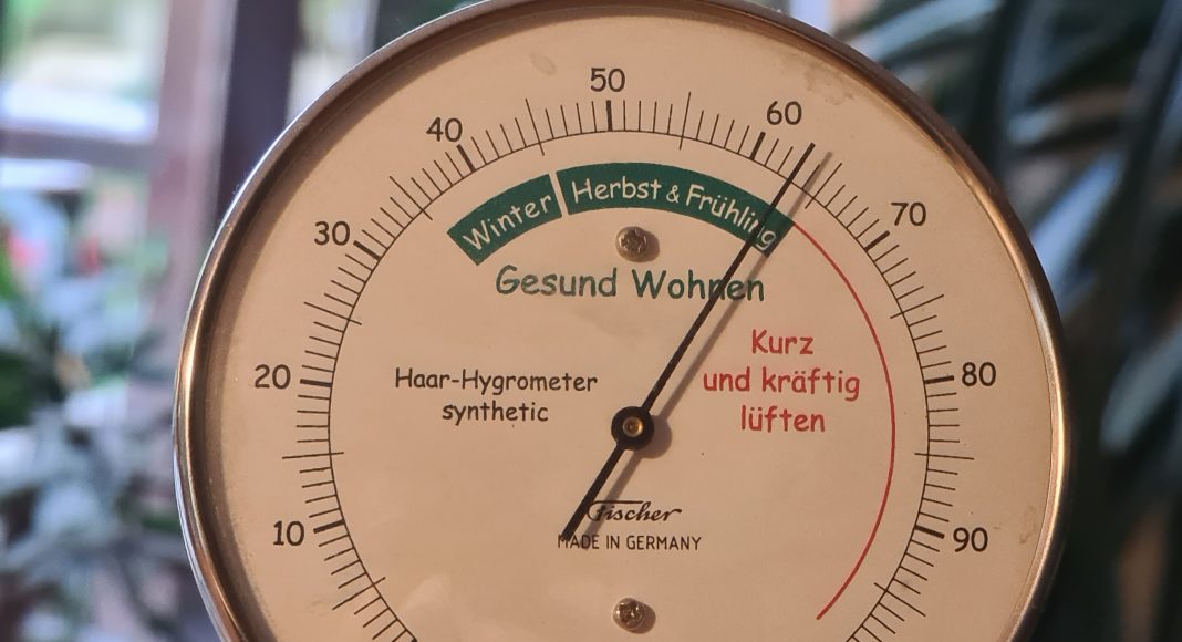 Lautlos und völlig unerwartet – Schimmelschäden