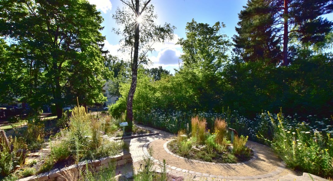 European Award for Ecological Gardening 2023 für Naturgarten