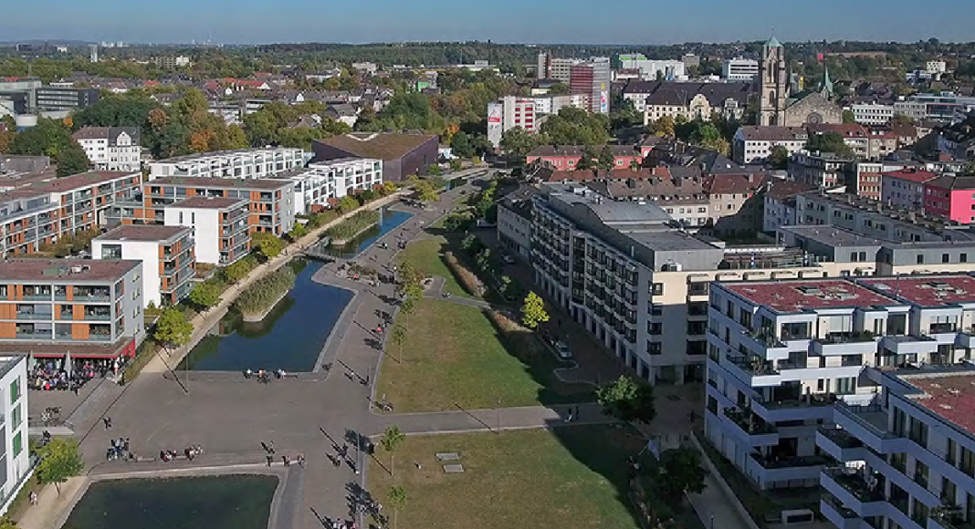 Chancen und Risiken - Gehölzverwendung in der Schwammstadt