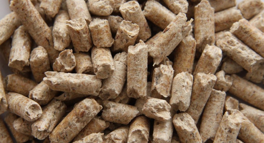 Pellets sparen Milliarden Liter Öl - mehr Unabhängigkeit